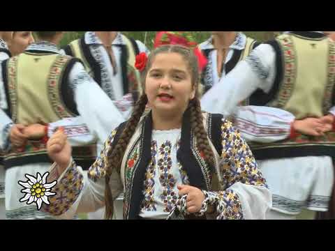 Avram Alexandra - Savetuca