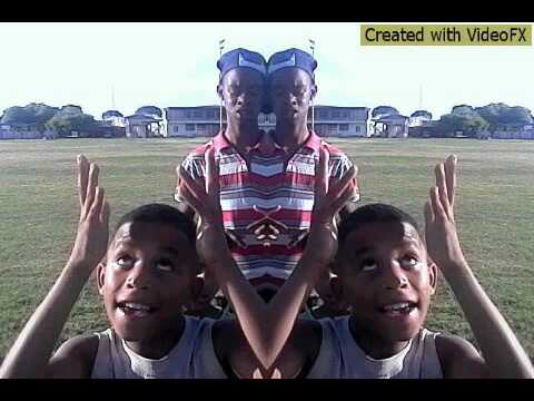 wolwe van die bontas