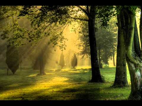 Poster toota hua dil lyrics – g. m. durrani