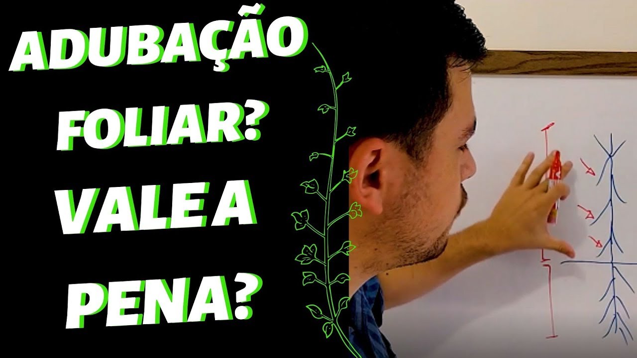 Adubação foliar vale a pena? (Funciona mesmo)