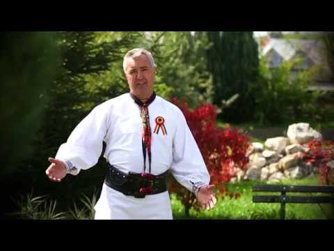 Gheorghe Sorea - In gradina la mandra