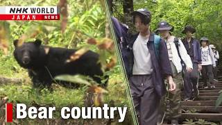 Download lagu Bears and humans: Live and let liveーNHK WORLD-JAPAN NEWS mp3
