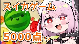 [Vtub] 三毛貓 西瓜遊戲 5000分挑戰