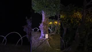 #shorts #白浜コガノイリゾート＆スパ #イルミネーション #japan