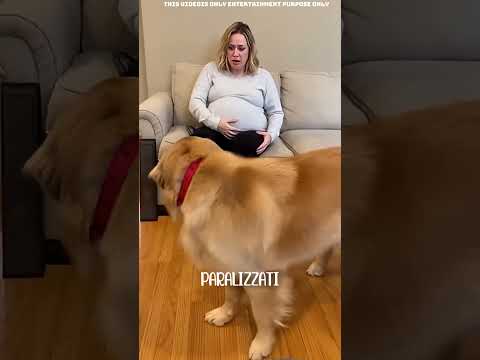 Il suo cane lo stava attaccando... ma poi ha salvato la vita del suo bambino 😱👶
