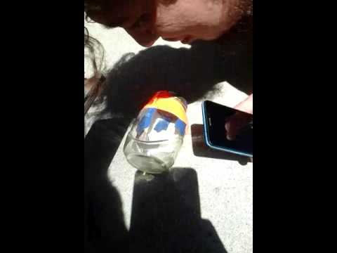 Black widow vs centipede