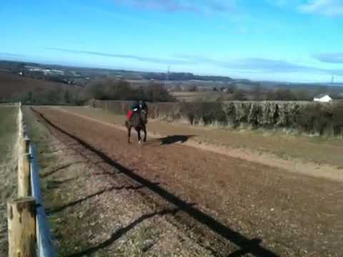 Rupestrian, Training For The 2010 Triumph Hurdle.