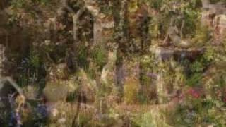 The Last Rose Of Summer