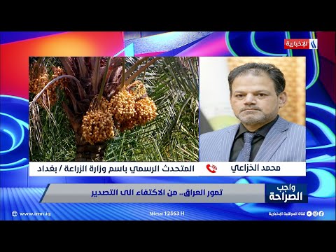 شاهد بالفيديو.. المتحدث باسم وزارة الزراعة: أعداد النخيل في العراق تجاوز 22 مليون نخلة