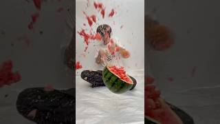 超田舎者のスイカ　#shorts