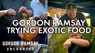 Gordon Ramsay Trying Exotic Food | Part One | Gordon Ramsay: Uncharted