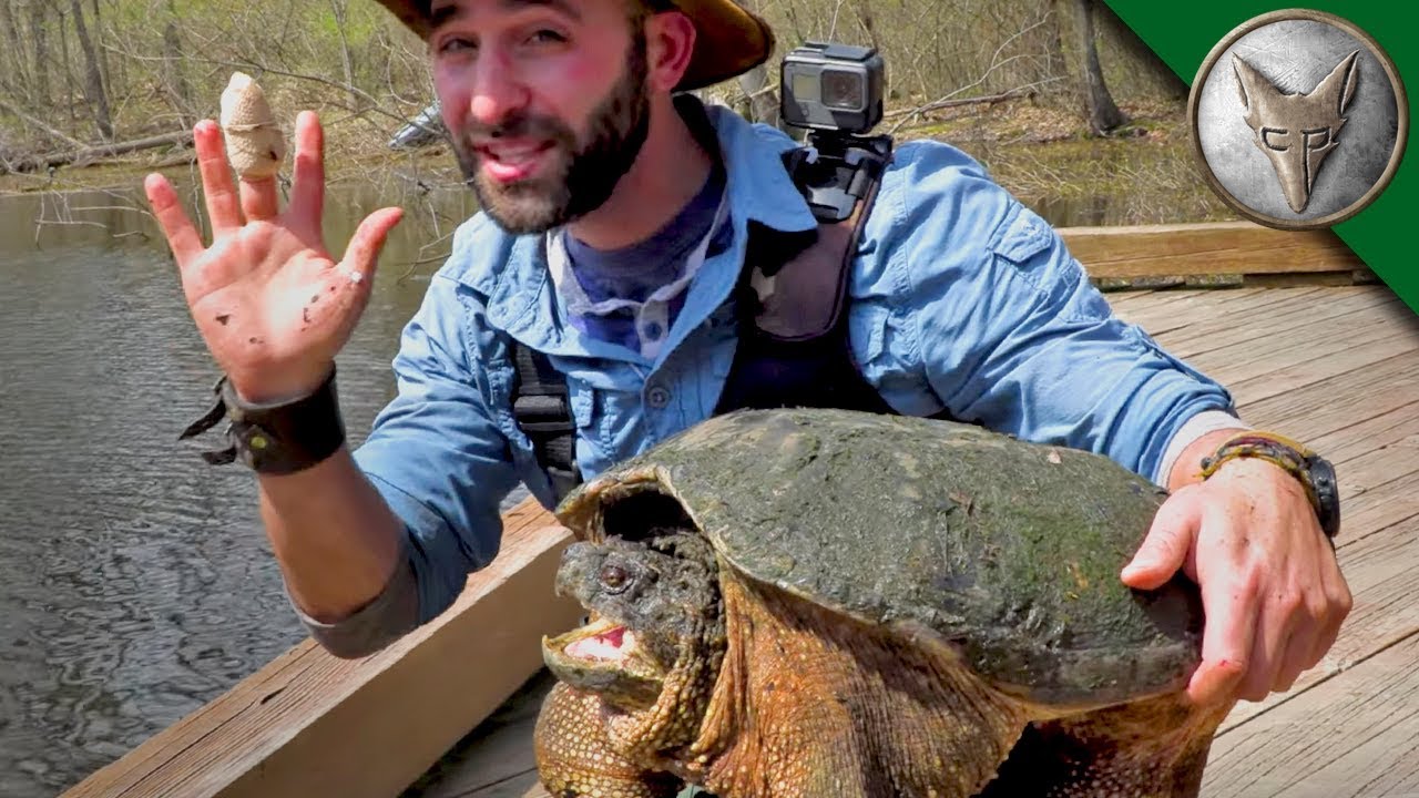 SNAPPED! It's a BAD BITE!