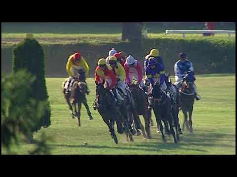 PE, 26. 5. 2018, 8. dostih - Memoriál novináře V. Nováka podporovaný on-line deníkem vzpravy.cz