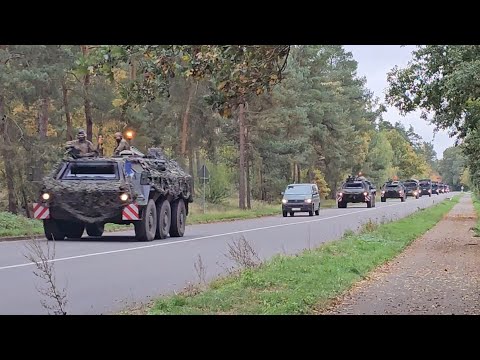 TPz Fuchs, Dachs, MAN, Rheinmetall HX und Unimog- PzPiBtl 803