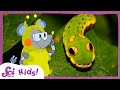 These Caterpillars Don't All Look Like Caterpillars | SciShow Kids