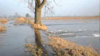 preview picture of video 'Przerwany wał północnego kanału Obry i powódź koło grodziska Prochy II'