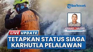 Kebakaran Hutan & Lahan Belum Teratasi, Bupati Pelalawan Tetapkan Status Siaga Darurat Karhutla