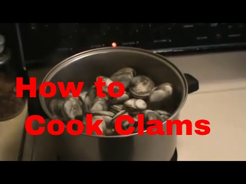 How to Cook Steamed Clams by pizzatherapy.com