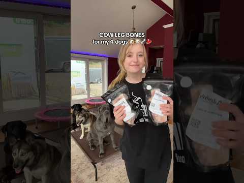 COW LEG BONES for my 4 dogs 🐶🐮🦴🥩 how to clean your dog’s teeth naturally 🦷🪥✨