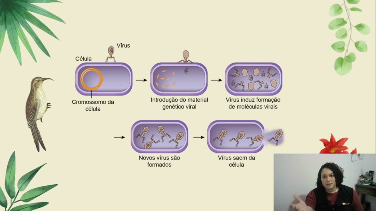 Revisão de Biologia para o Enem com Profª Yohana Sales | Dicas e Questões Resolvidas