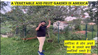 VEGETABLE AND FRUIT GARDEN IN AMERICAN'S HOUSE| FARMING IN AMERICA