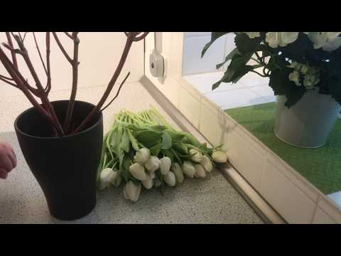DIY: Wohn.- und Deko Idee, frühlingshafte Tischdeko, Tulpen umgarnt von Hartriegel 🌷/ Deko Jana