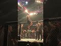 Khamzat climbs the cage after going to war at UFC 273 ? #shorts