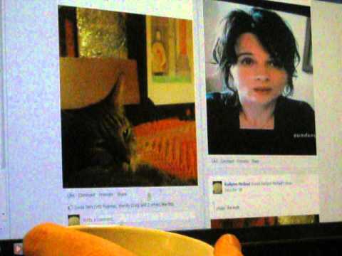 the French love the Mr Jerry Lewis~