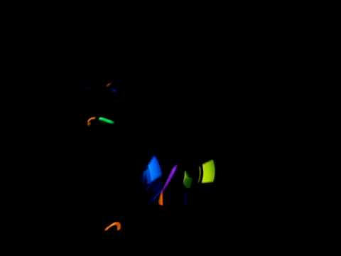 techno hawaii at friends II