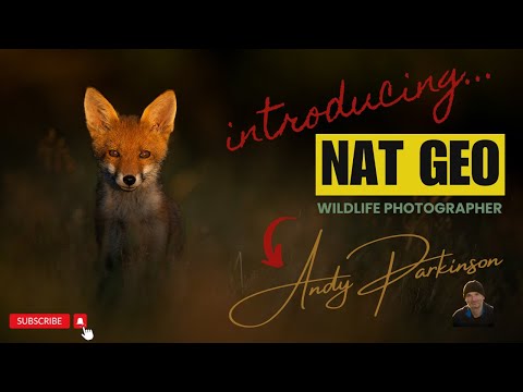 Intro to NAT GEO wildlife photographer  - ANDY PARKINSON...
