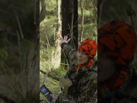 A bite to eat and a little deer calling