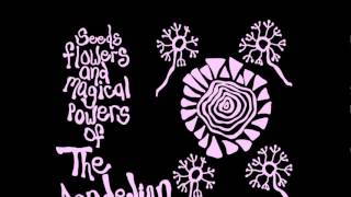 The Dandelion - Daddy Long Legs