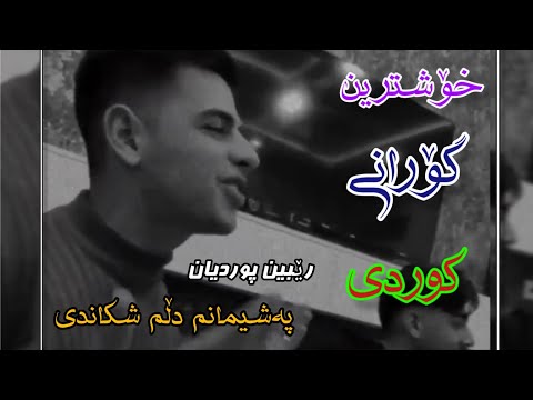 خۆشترین گۆرانی کوردی| بێ هەواڵیت دڵی دەر هێنام| رێبین پوردیان gorani kurdi xosh