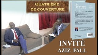 QUATRIÈME DE COUVERTURE N°22 INVITÉ / AZIZ FALL