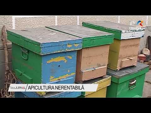 APICULTURA NERENTABILĂ