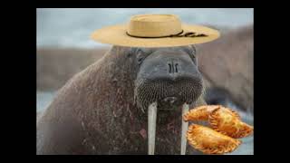 Yo soy la morsa | Chilean cover de &quot;I&#39;m the walrus&quot; (The Beatles)