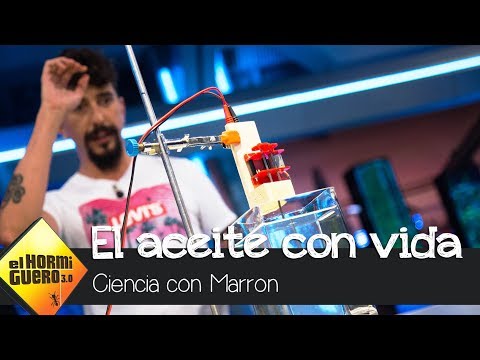 Marron sorprende a Manolo García y Pablo Motos con la gota de aceite con vida - El Hormiguero 3.0