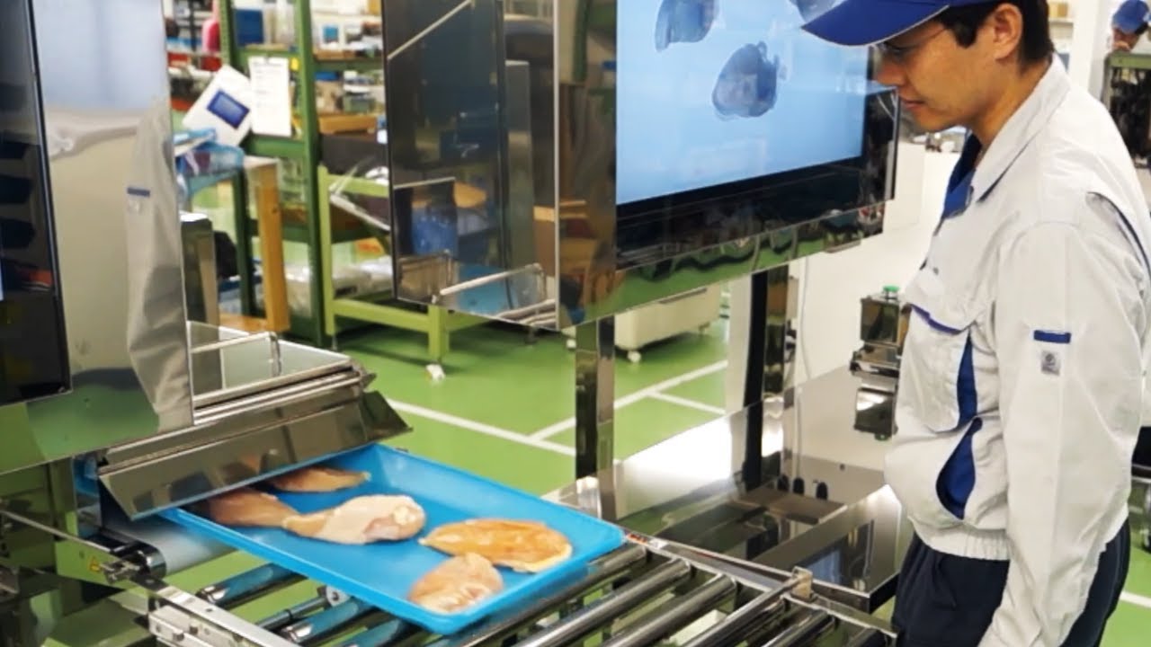 X-ray Inspection System│Remaining Bone Inspection System for meat