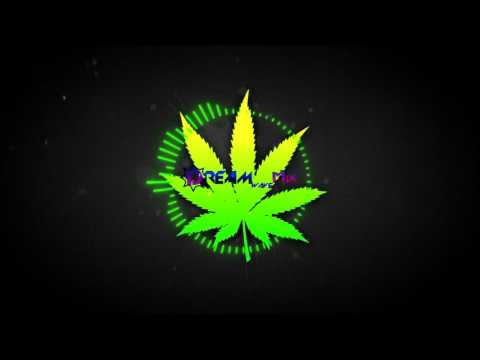 Dj Inappropriate - smoke weed everyday [bootleg]