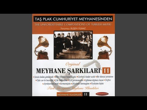 Sensiz Kalan Gönlümde