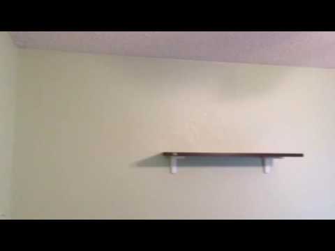 download lagu mp3 mp4 Honeydew Color, download lagu Honeydew Color gratis, unduh video klip Honeydew Color