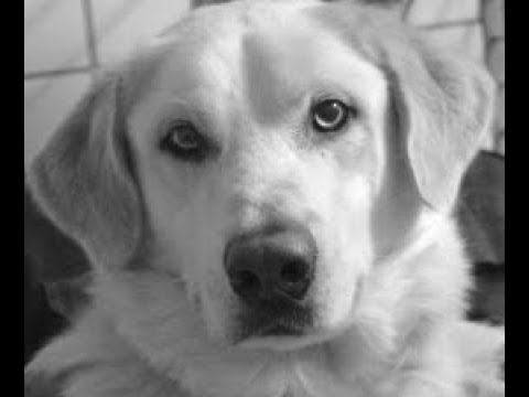 Vom Suchen & Finden eines Futterbeutels - ein Film von Maja Nowak