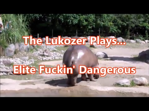 Lukozer LIVE 07/10/2020 - Elite: Dangerous... Combat In Your Choice Of Ship
