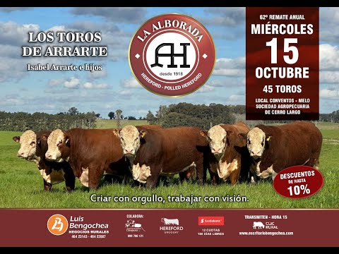 15/10/2025   La Alborada (Cabaña)- Bengochea SRL, Luis A. / Local Conventos, Melo - Cerro Largo