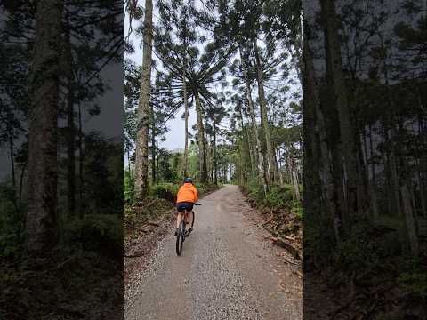 Pedalando em Quatro Barras - Paraná