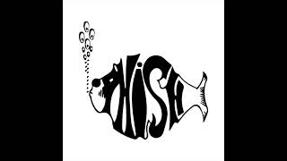 Phish - Reba 12/31/1995 - Madison Square Garden, New York City
