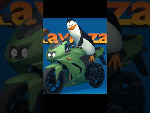 Pinguinii bombardieri din Craiova #pinguini