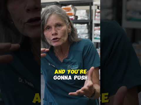 How To Remove Skunk Smell From Your Dog (Household Products)