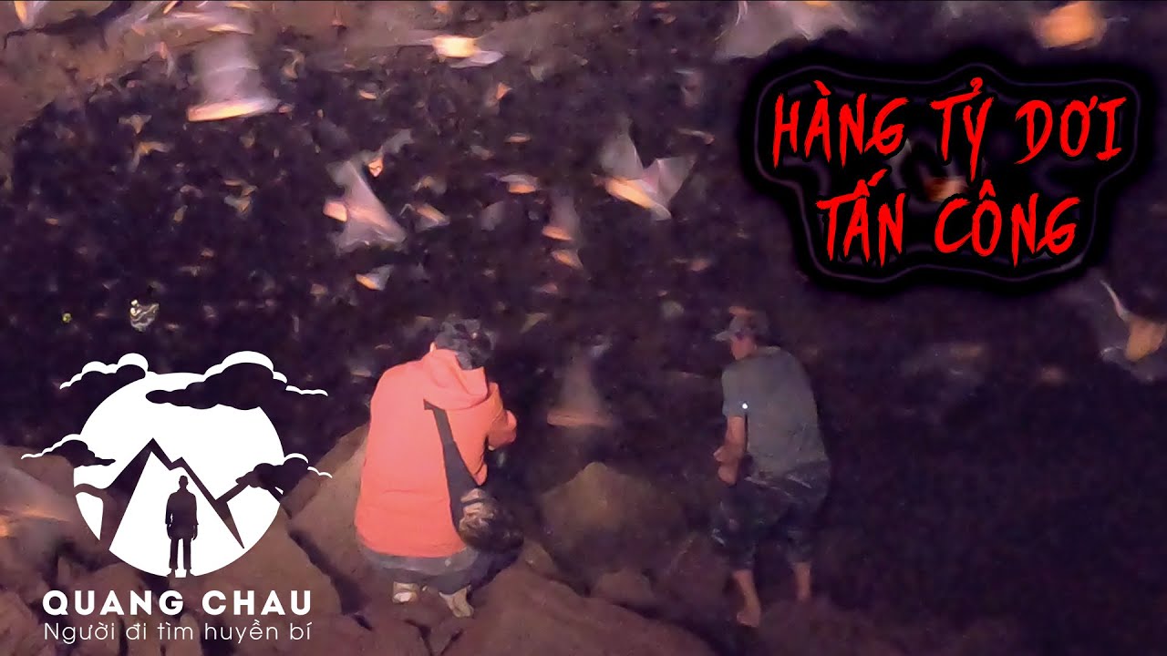 Đột nhập Lãnh Địa của Hàng Tỷ con Dơi ở Hang Dung Nham Núi Lửa dài nhất Đông Nam Á | Hang Dơi P2