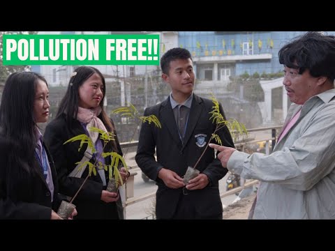 Richest Man in Kohima | Dreamz Unlimited | NCAP